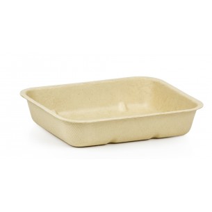 PT6116-30 Small Rectangle Pulp Tray
